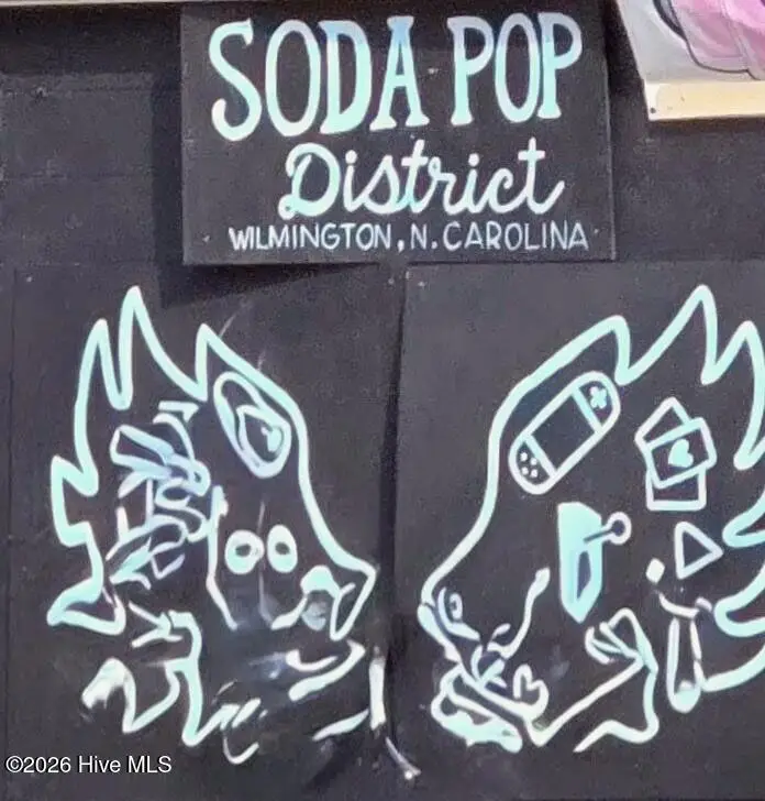 1101 Chestnut Street, Wilmington, NC 28401 - #3