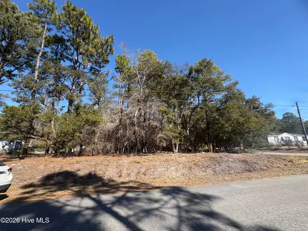 1 Maple Road, Boiling Spring Lakes, NC 28461