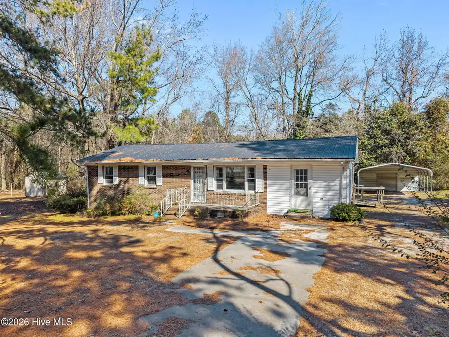 322 Pineshoal Drive, Snow Hill, NC 28580 - #3