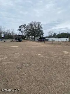 6205 Blossom Street, Castle Hayne, NC 28429 - #2