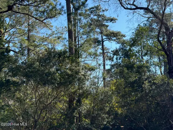 0 Gregory Fork Road, Richlands, NC 28574