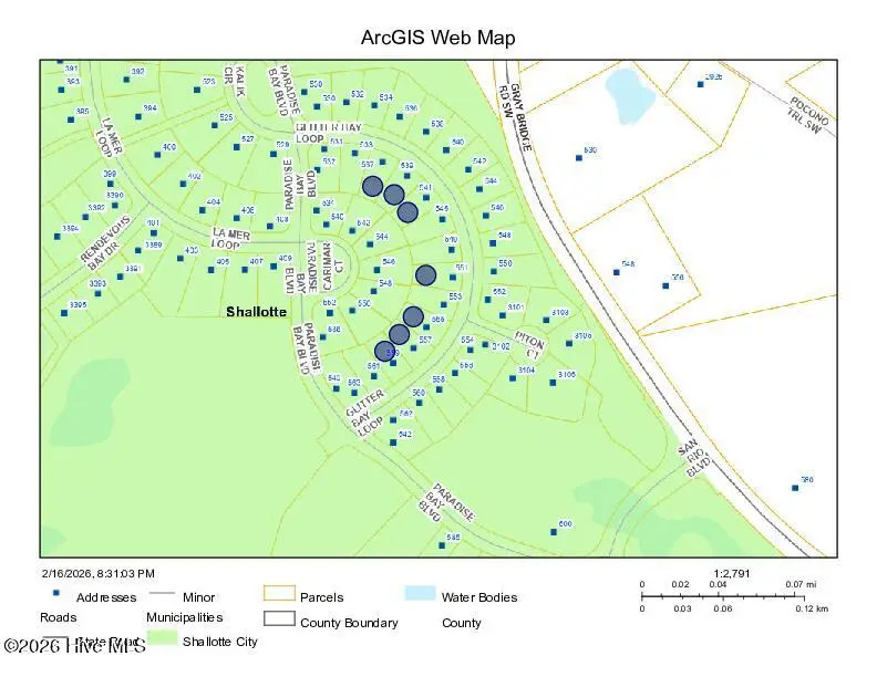 541 Glitter Bay Loop, Shallotte, NC 28470 - #1
