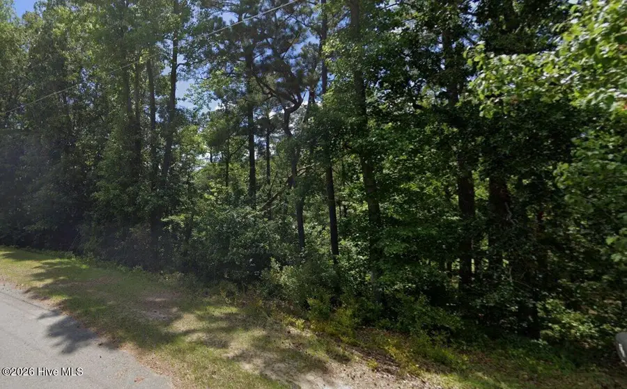 0 Pine Circle Drive, Rockingham, NC 28379 - #2