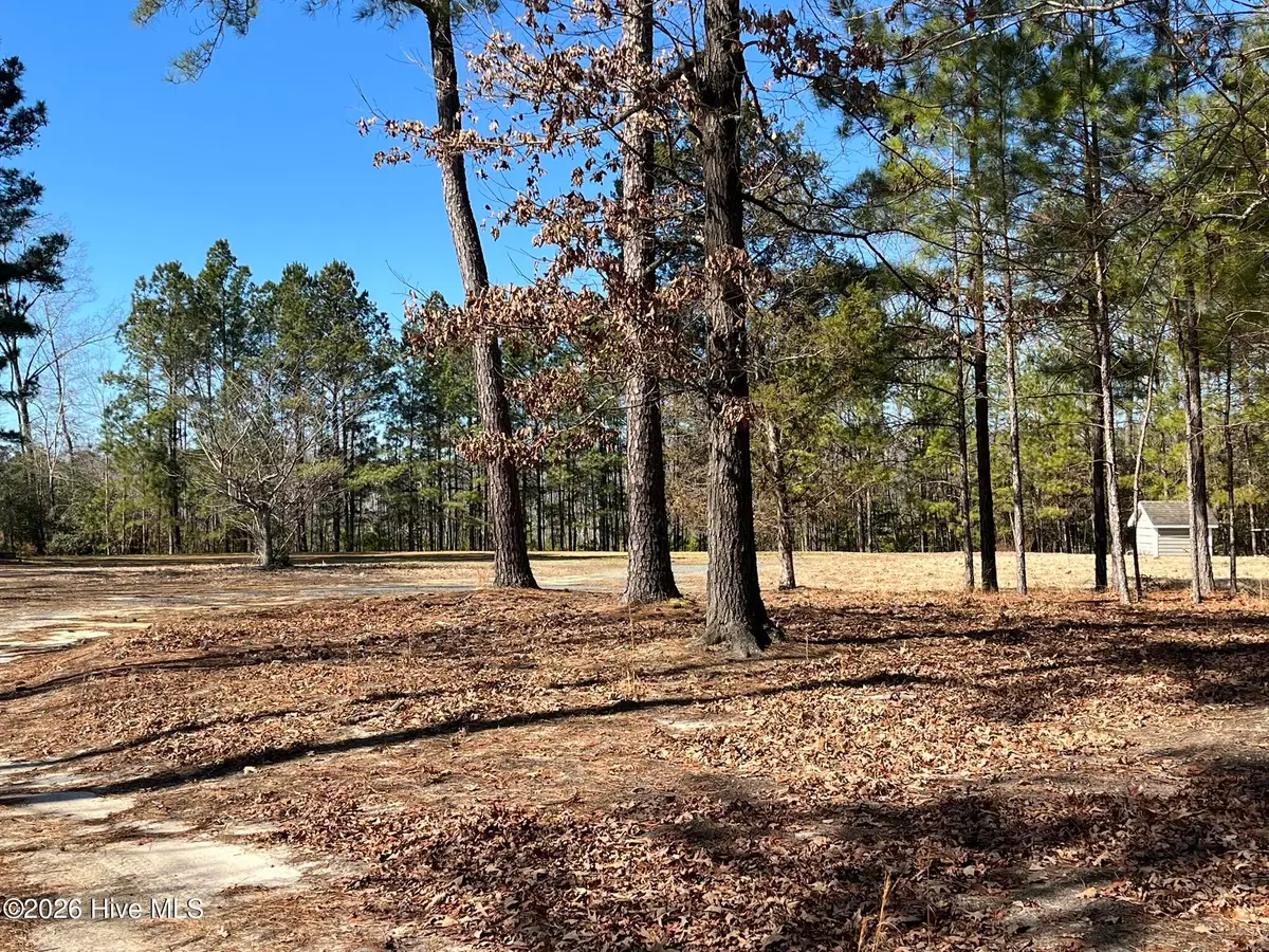 290 Thomas Place, West End, NC 27376 - #1