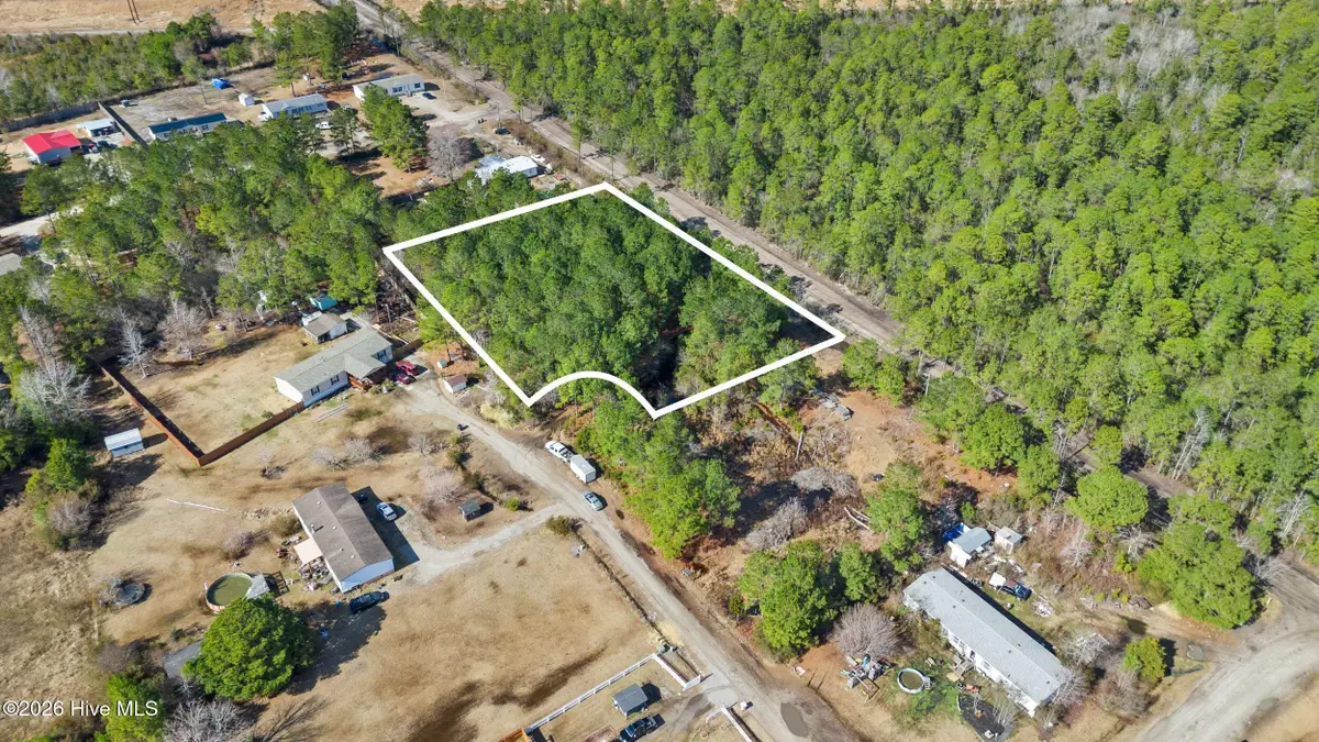 66 Tree Top Court, Hampstead, NC 28443 - #1