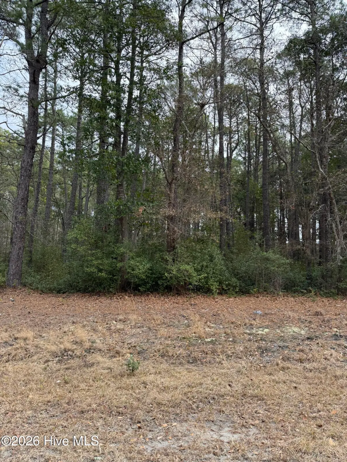 1571 Driftwood Drive Sw, Ocean Isle Beach, NC 28469 - #1