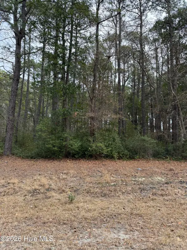 1571 Driftwood Drive Sw, Ocean Isle Beach, NC 28469