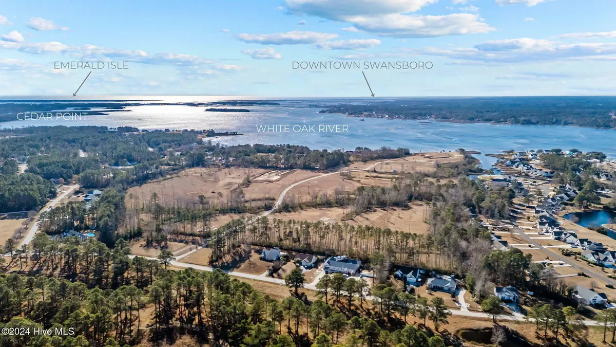 246 Amphitheater Drive, Swansboro, NC 28584 - #1