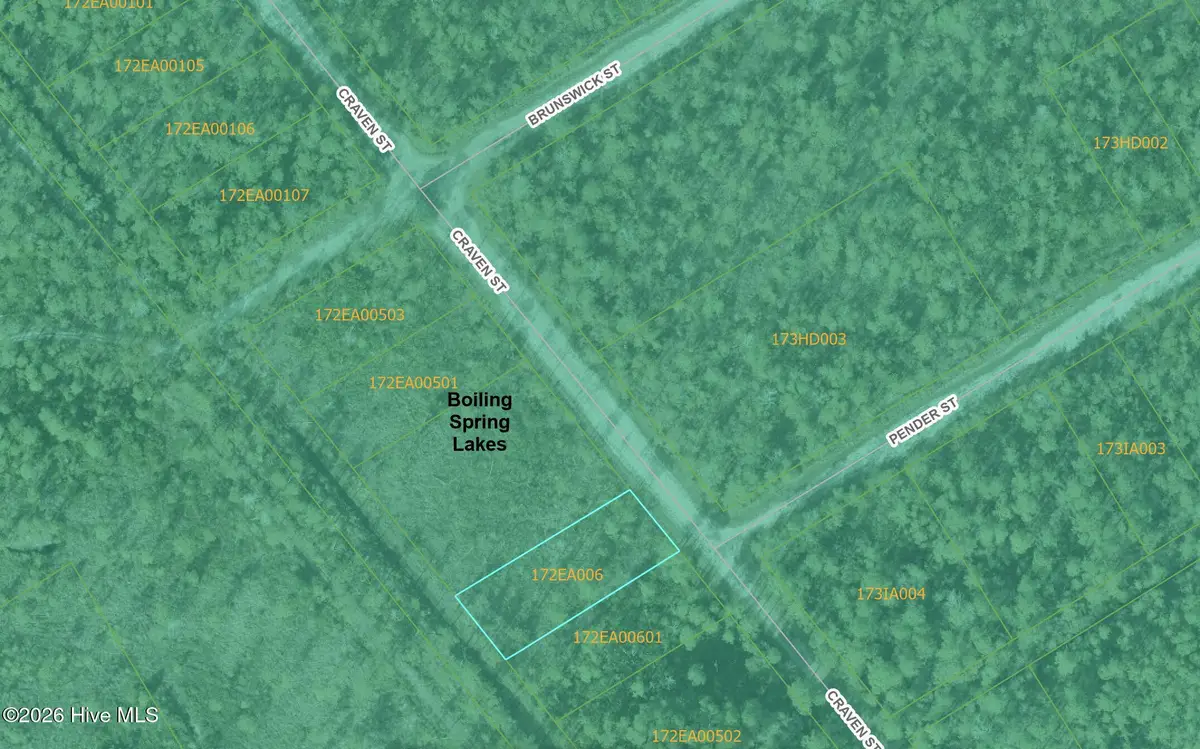 Lot 489 Craven Street, Boiling Spring Lakes, NC 28461 - #1