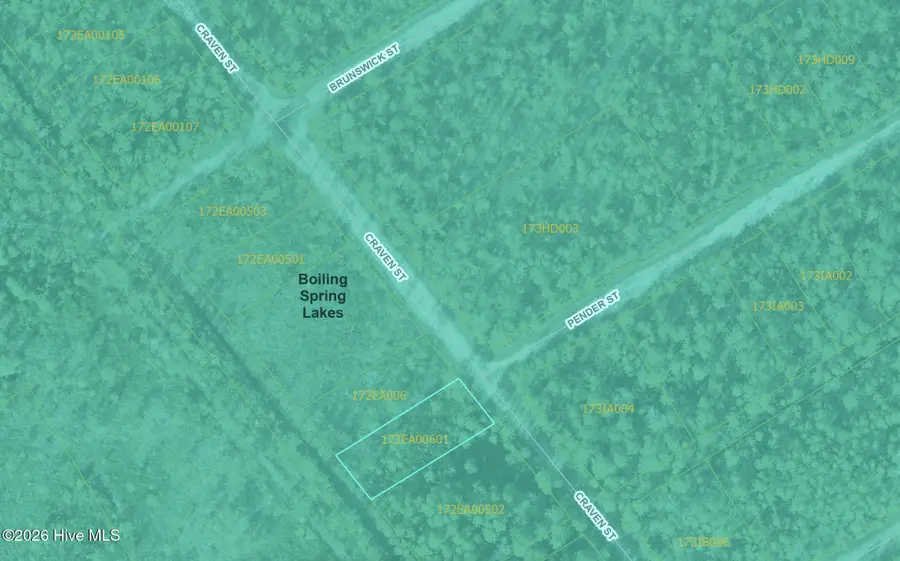 Lot 490 Craven Street, Boiling Spring Lakes, NC 28461 - #3