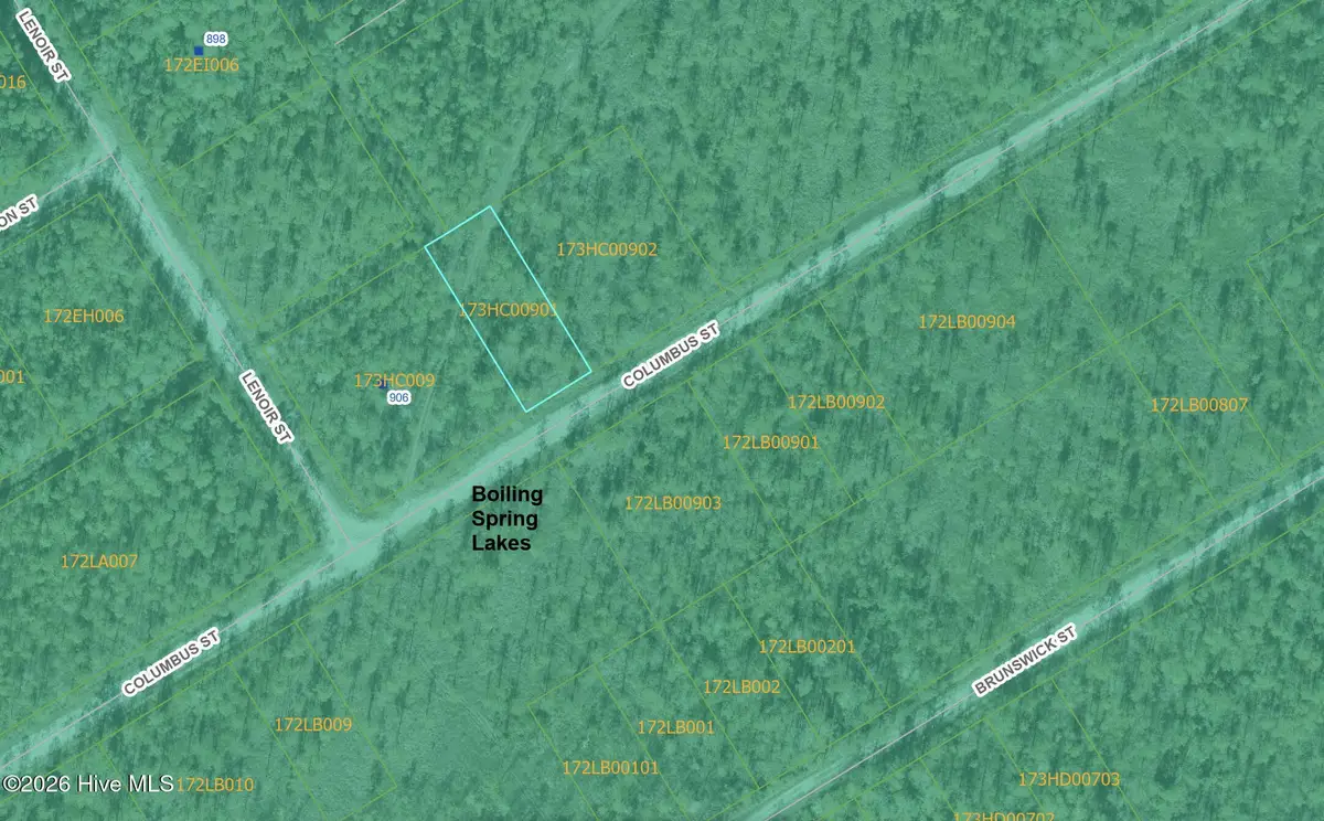 Lot 316 Columbus Road, Boiling Spring Lakes, NC 28461 - #1