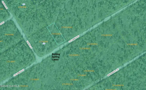 Lot 316 Columbus Road, Boiling Spring Lakes, NC 28461