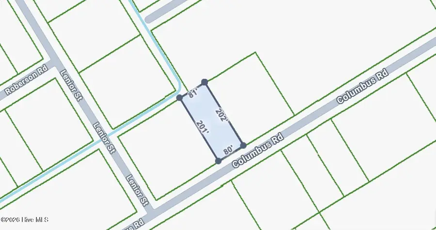 Lot 316 Columbus Road, Boiling Spring Lakes, NC 28461 - #2