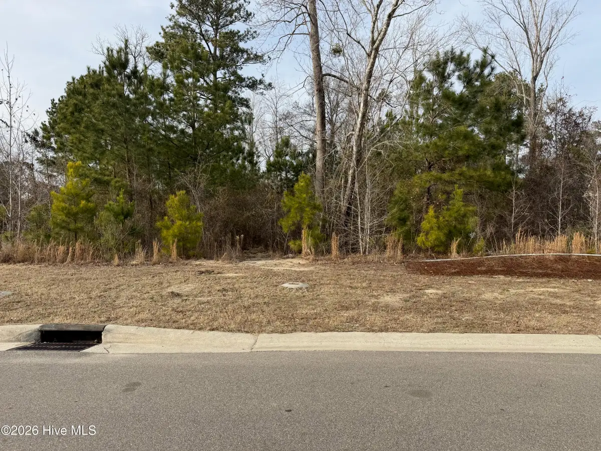 3422 Belle Meade Way Ne, Leland, NC 28451 - #1