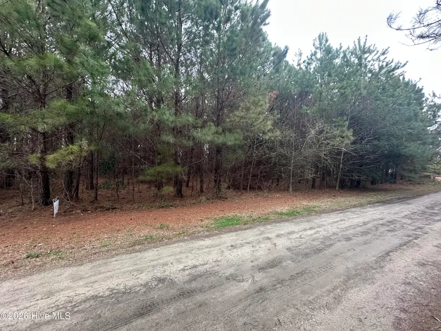 Near 51 Gores Drive, Clarendon, NC 28432 - #2