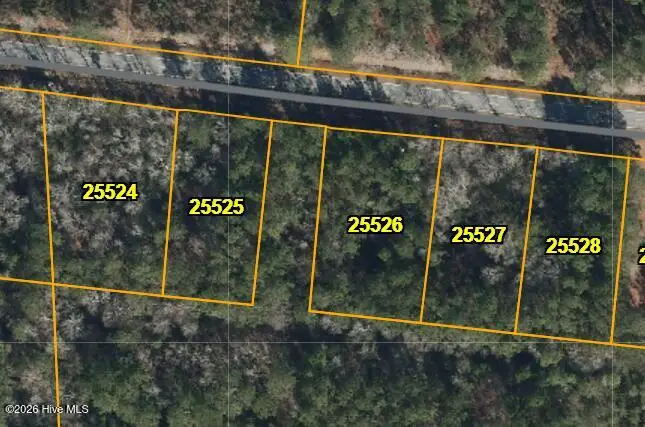Lot 1 Lightwood Knot Road, Deep Run, NC 28525 - #1