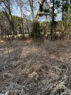 362 Sandy Cross Road, Belvidere, NC 27919 - #3