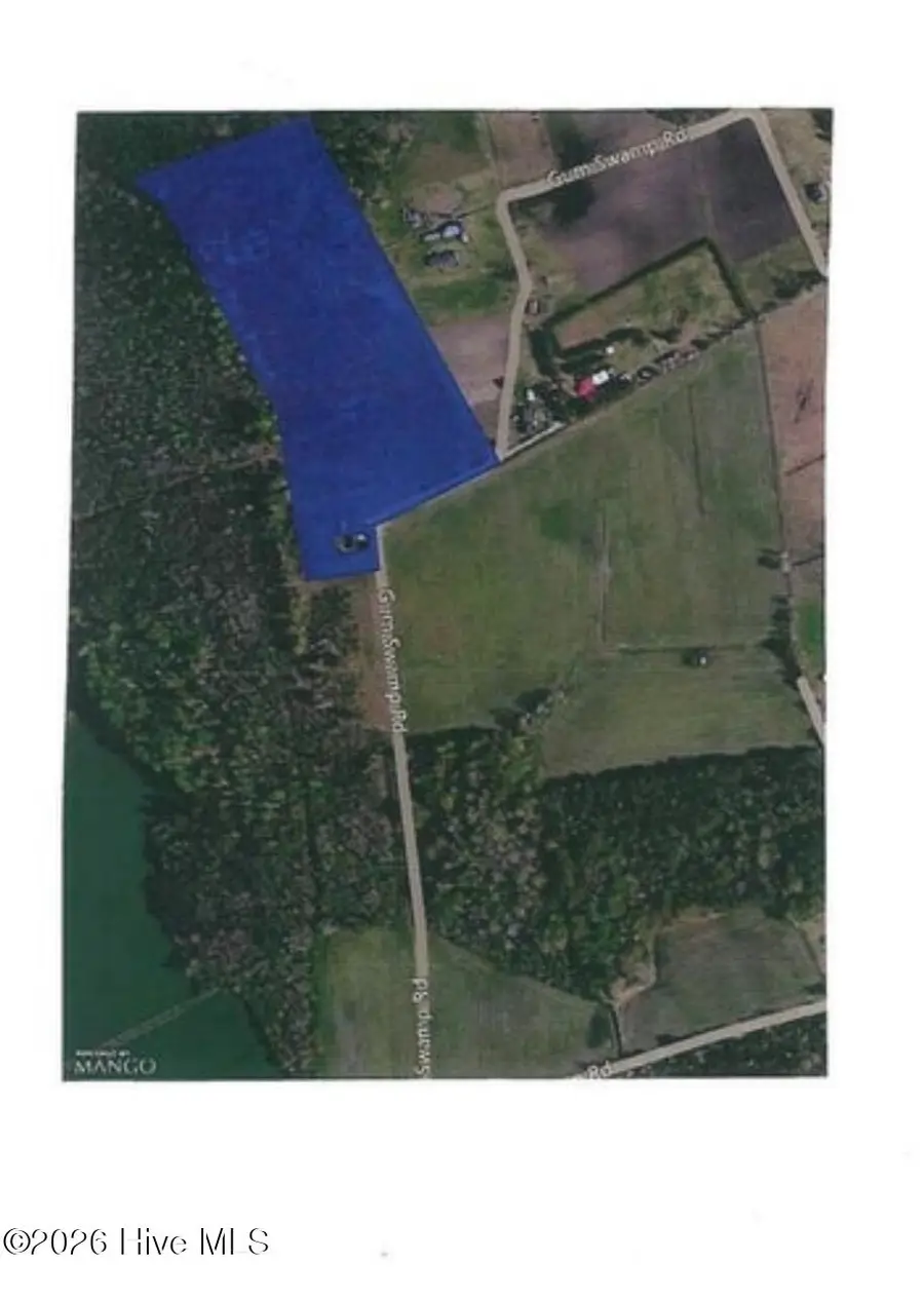 331 Gum Swamp Road, Bolton, NC 28423 - #3