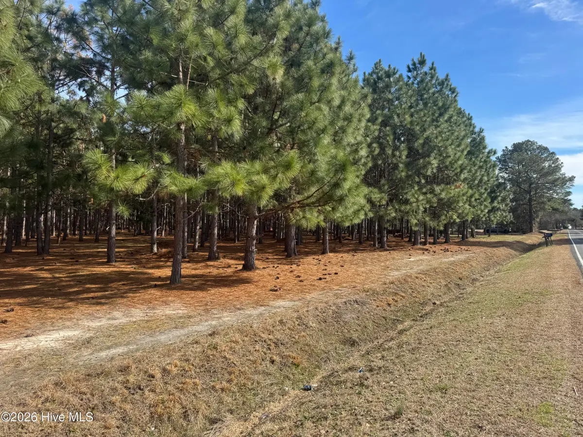 0 Butler Mill Road Road, Bladenboro, NC 28320 - #1