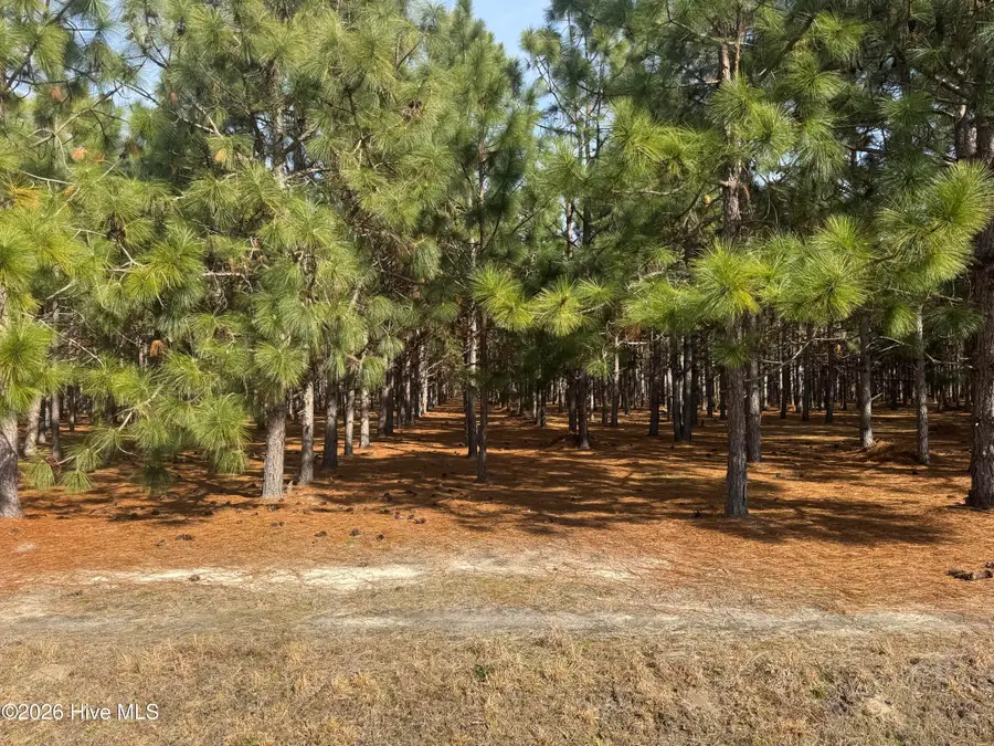 0 Butler Mill Road Road, Bladenboro, NC 28320 - #2