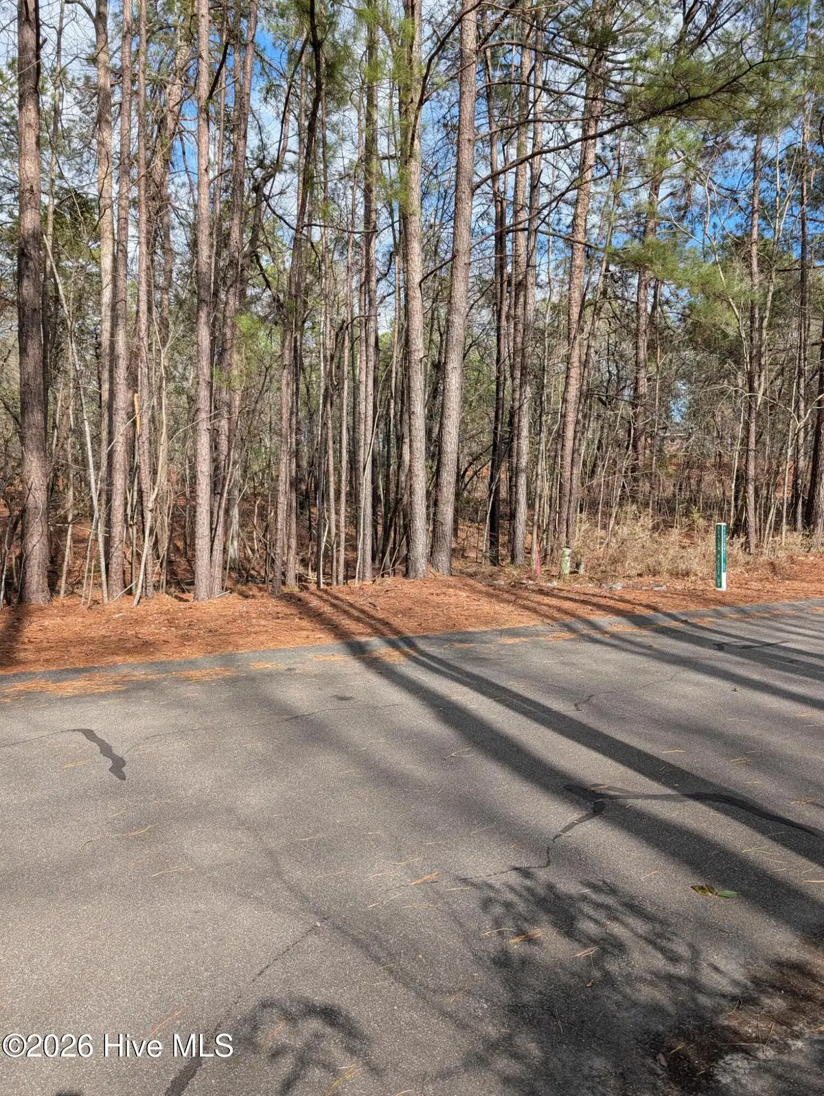 102 Bancroft Court, West End, NC 27376 - #1