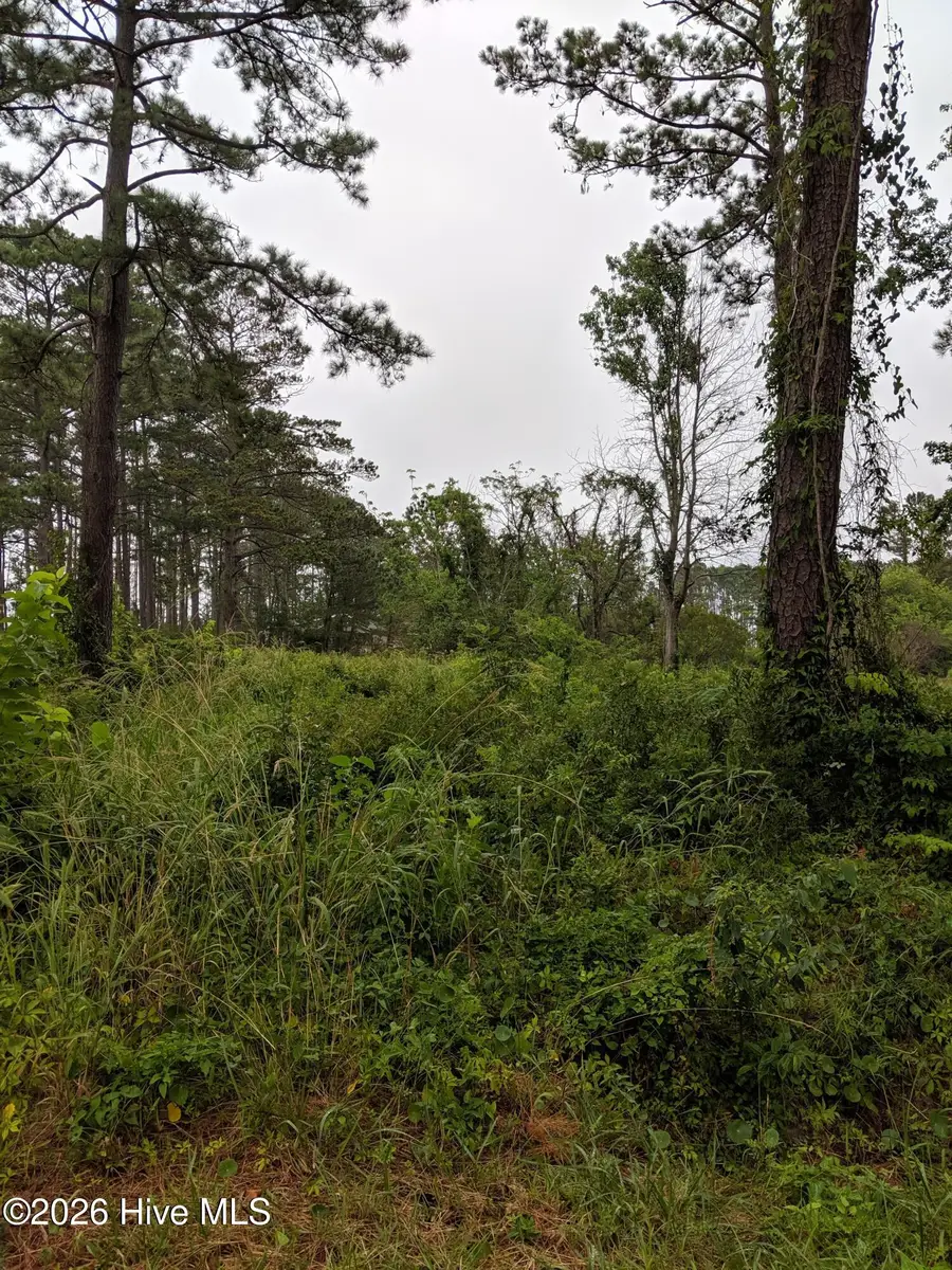 249 Nelson Neck Road, Sealevel, NC 28577 - #2