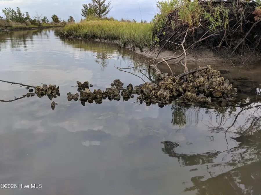 249 Nelson Neck Road, Sealevel, NC 28577 - #3