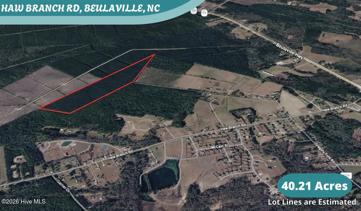 40 Acres Haw Branch Road, Beulaville, NC 28518 - #1