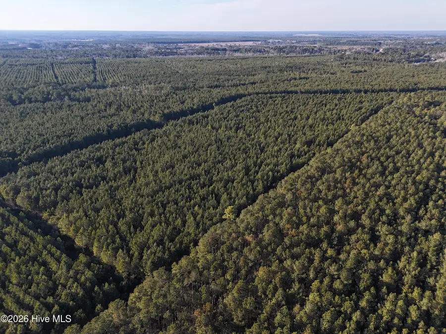 40 Acres Haw Branch Road, Beulaville, NC 28518 - #2