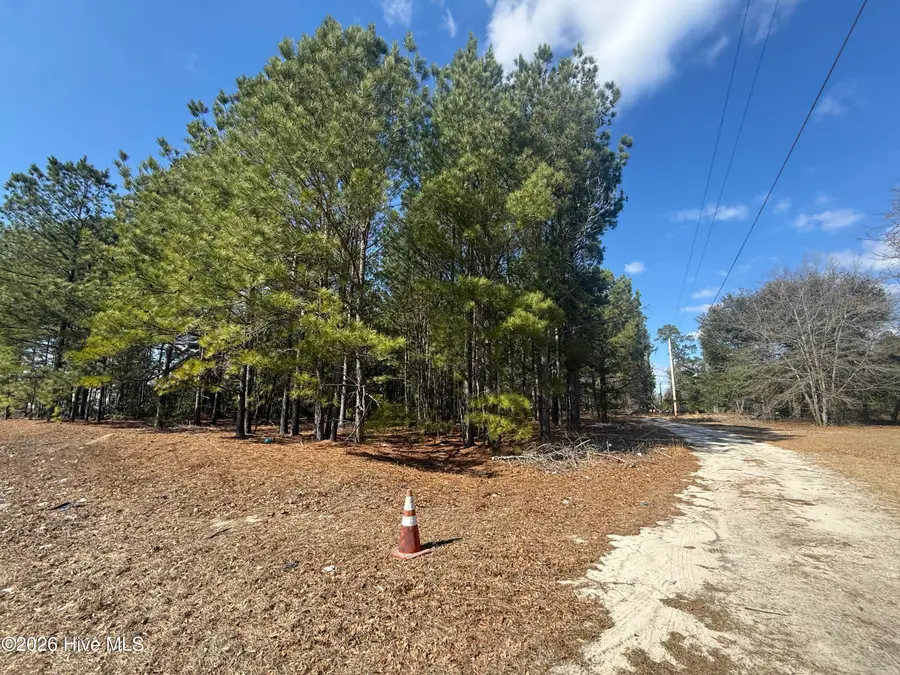 Tbd Mizpah Road, Rockingham, NC 28379 - #3