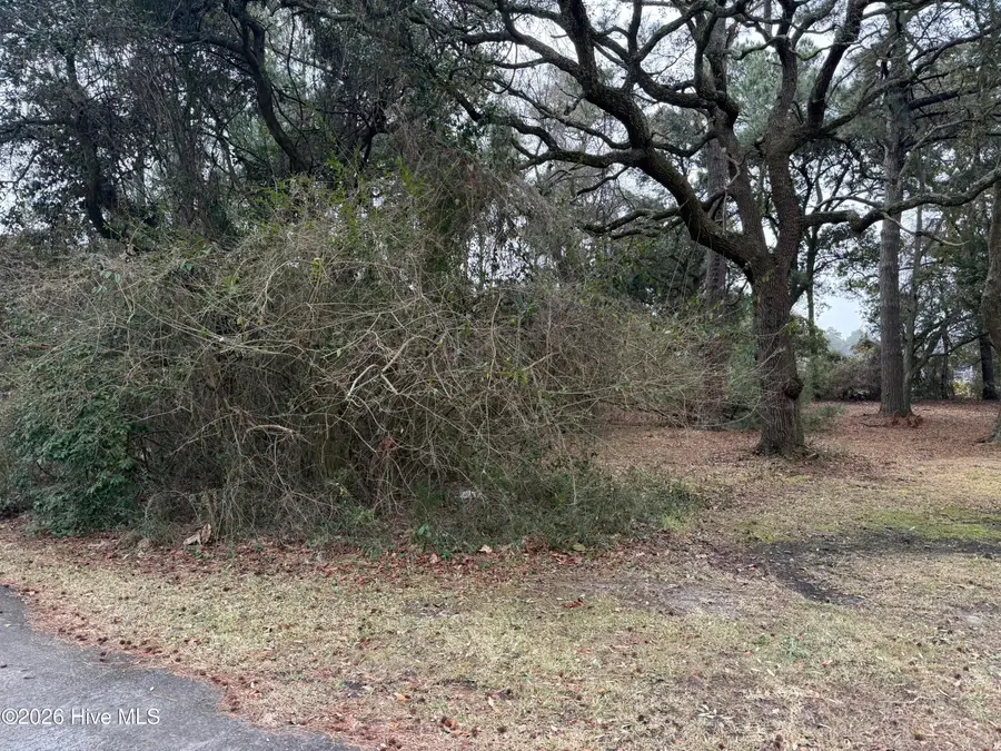 116 Willow Street, Beaufort, NC 28516 - #3