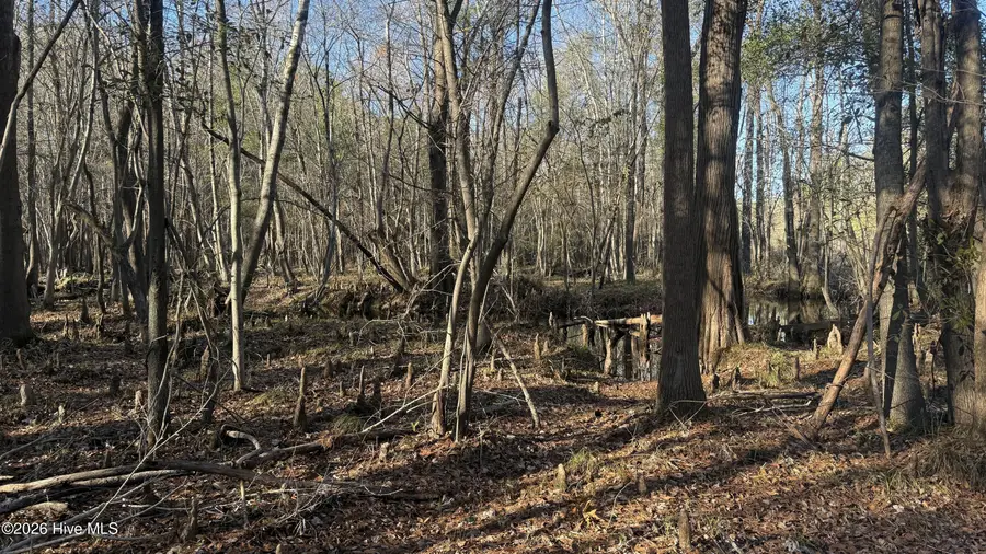 00 Shaw Highway, Rocky Point, NC 28457 - #2