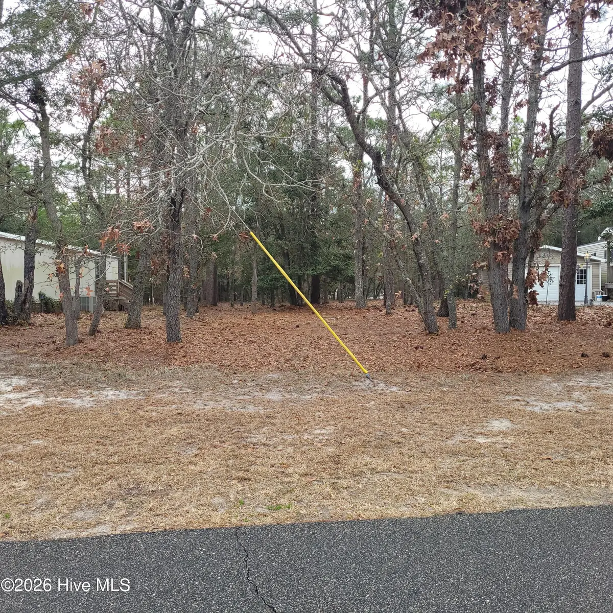 3317 Marlin Drive, Bolivia, NC 28422 - #1