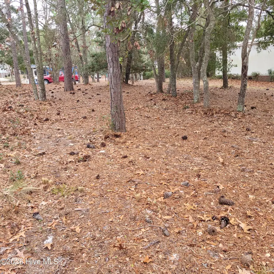 3317 Marlin Drive, Bolivia, NC 28422 - #3