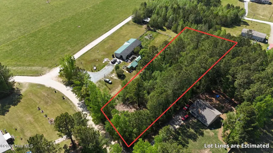 Lot 20 Mallard Roost Drive, Burgaw, NC 28425 - #3