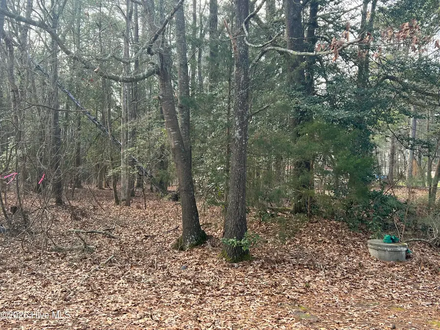 0 Bridgersville Road, Macclesfield, NC 27852 - #3