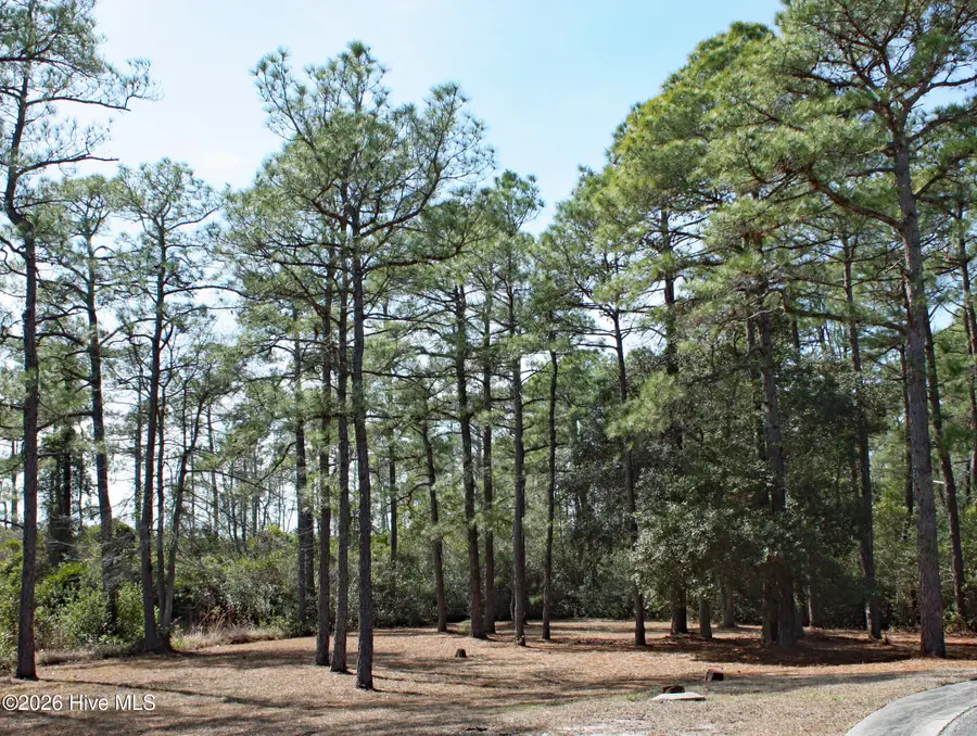 6653 Lisburn Terrace Sw, Ocean Isle Beach, NC 28469 - #2