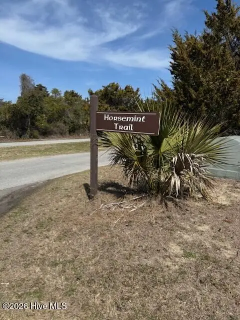 11 Horsemint Trail, Bald Head Island, NC 28461 - #2