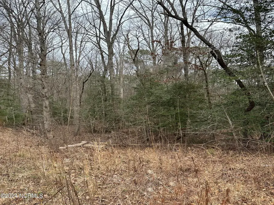 Lot 2 Us Hwy 15-501, Carthage, NC 28327 - #2