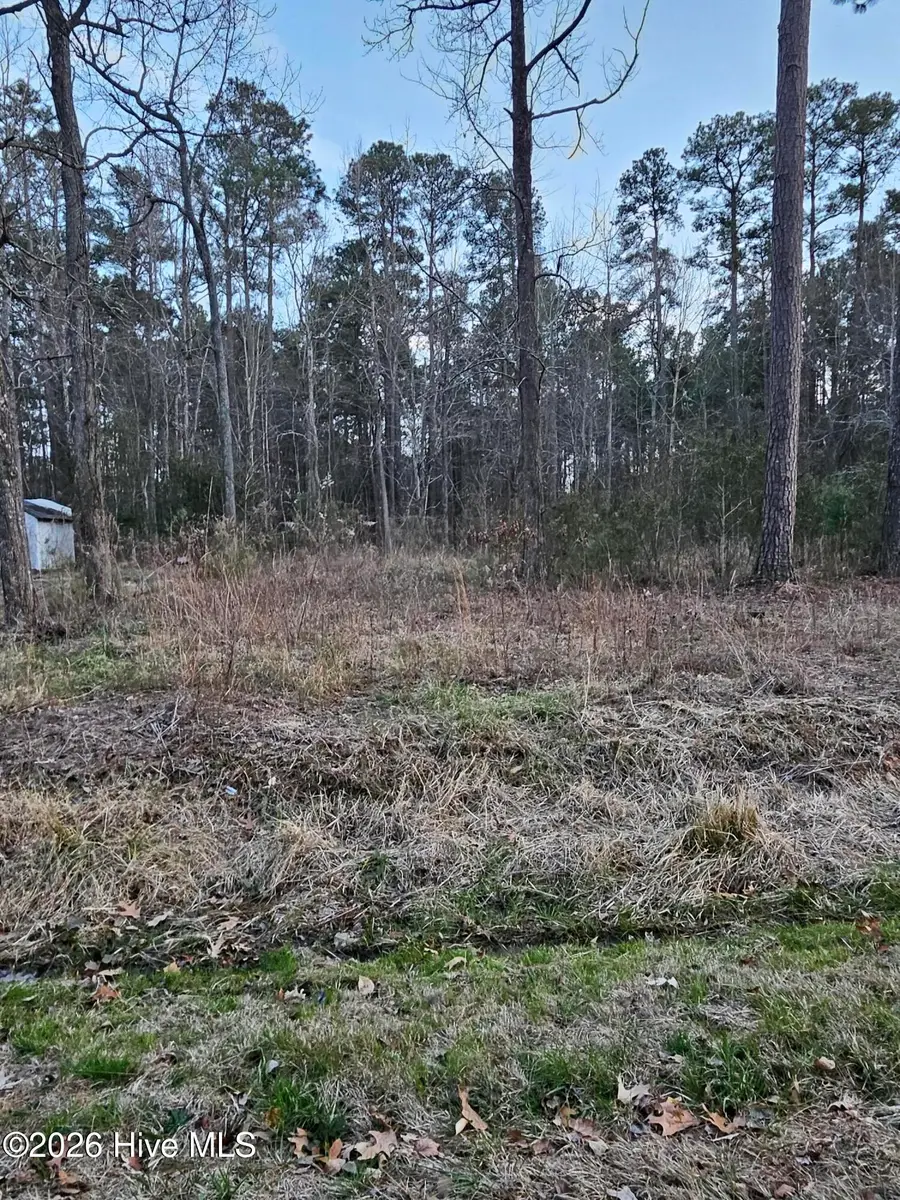 109 Pinewood Trail, Hertford, NC 27944 - #3