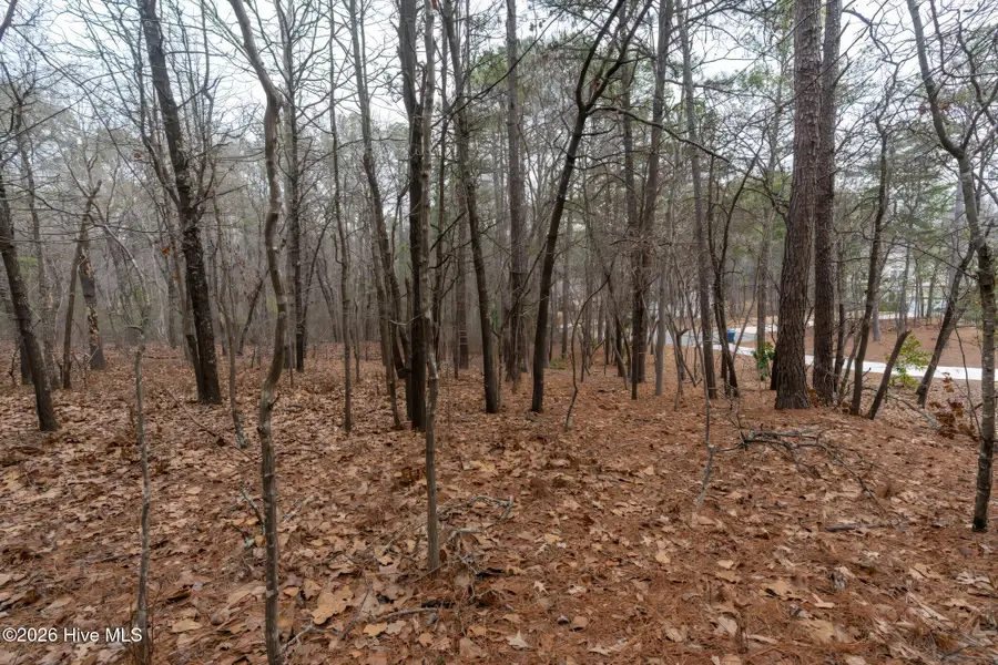 102 Ramsgate Court, Seven Lakes, NC 27376 - #3