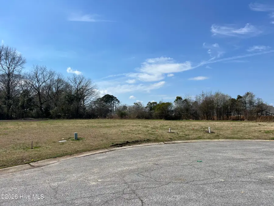 304 Cottonfield Court, Ayden, NC 28513 - #2