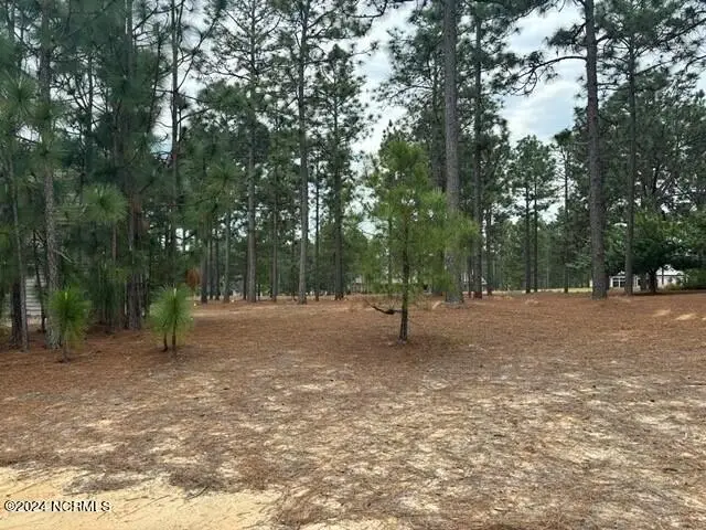 11 Wicker Sham Court W, Pinehurst, NC 28374 - #3