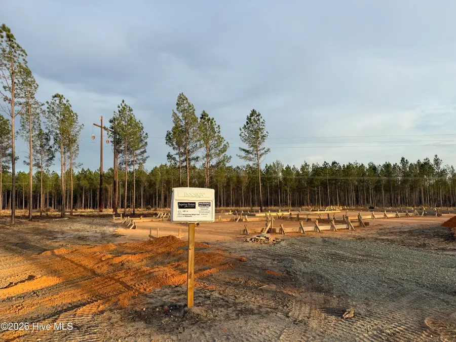 Tbd Doubs Chapel Road #Lot 4, West End, NC 27376 - #2