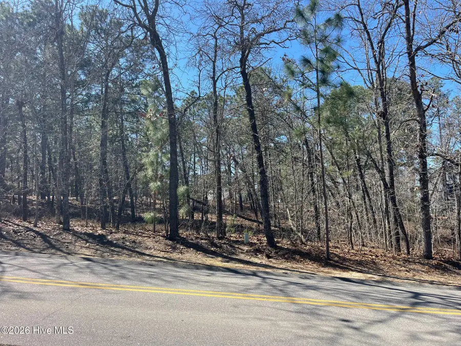 445 Longleaf Drive, West End, NC 27376 - #2