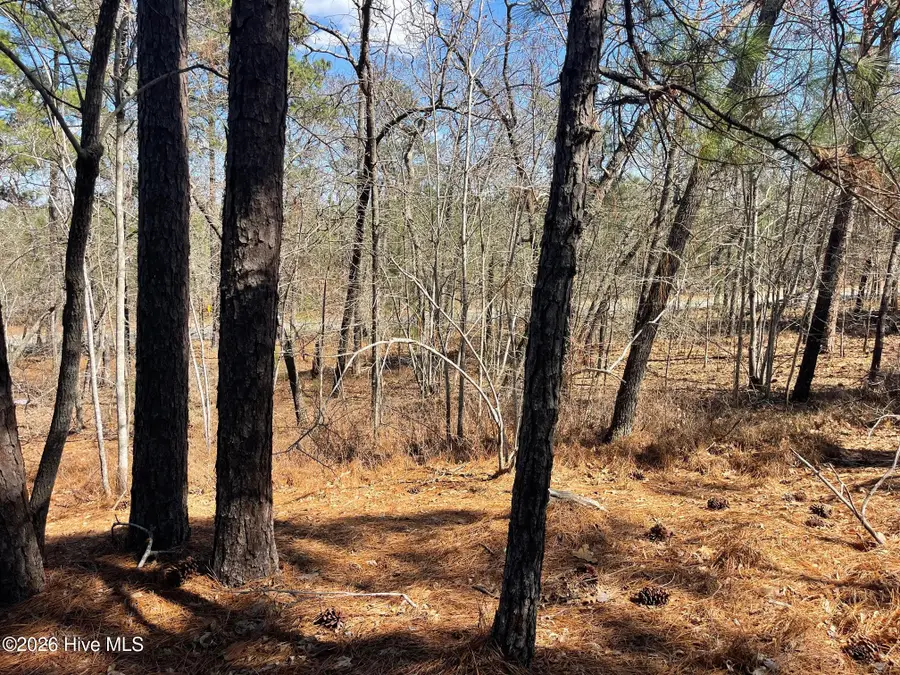 445 Longleaf Drive, West End, NC 27376 - #3