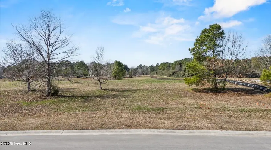 150 Sycamore Lakes Drive, Wallace, NC 28466 - #2