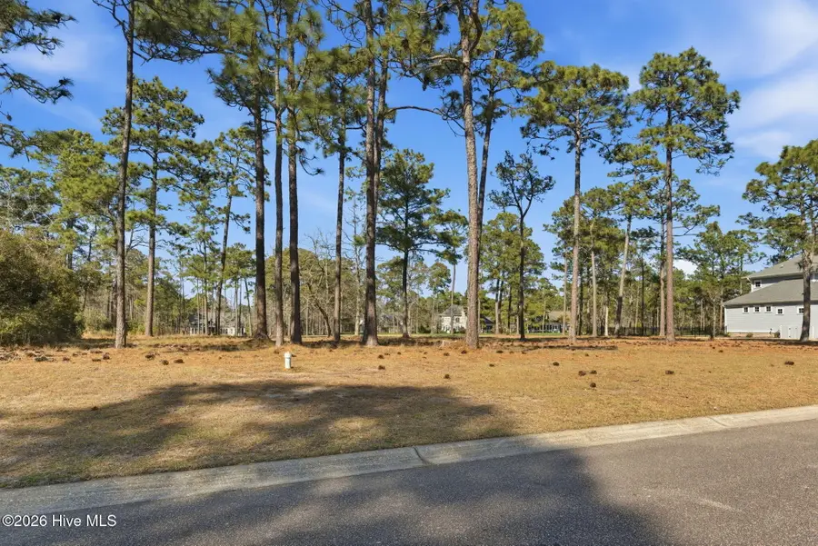 433 Laurel Valley Drive, Shallotte, NC 28470 - #3