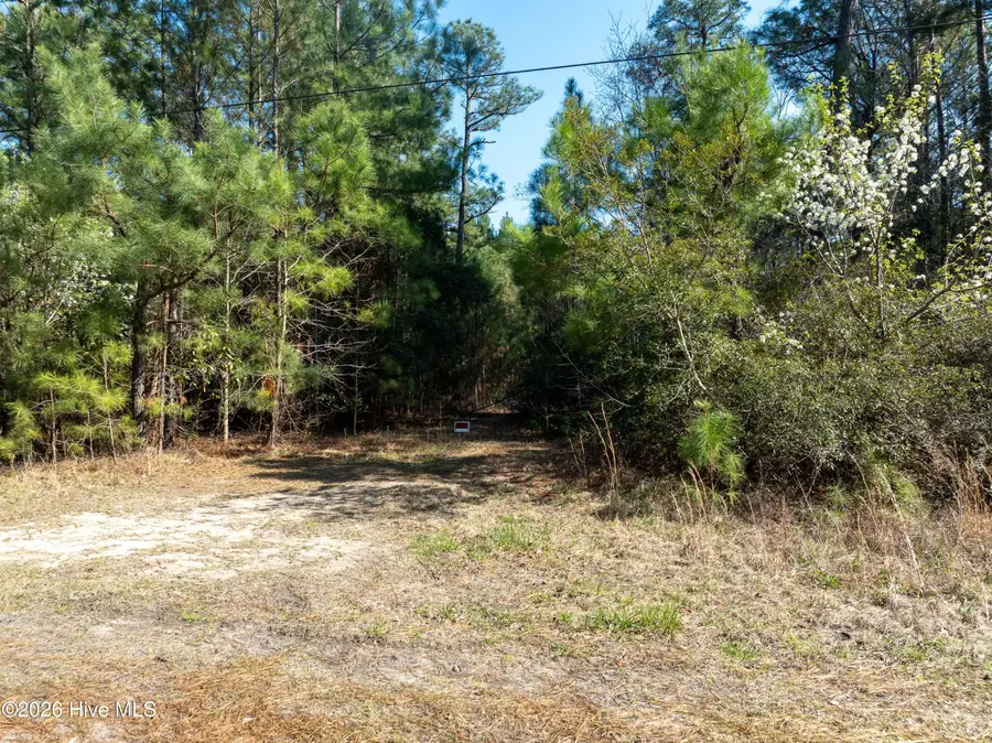 Lot 14 Brickyard Road, Hampstead, NC 28443 - #2