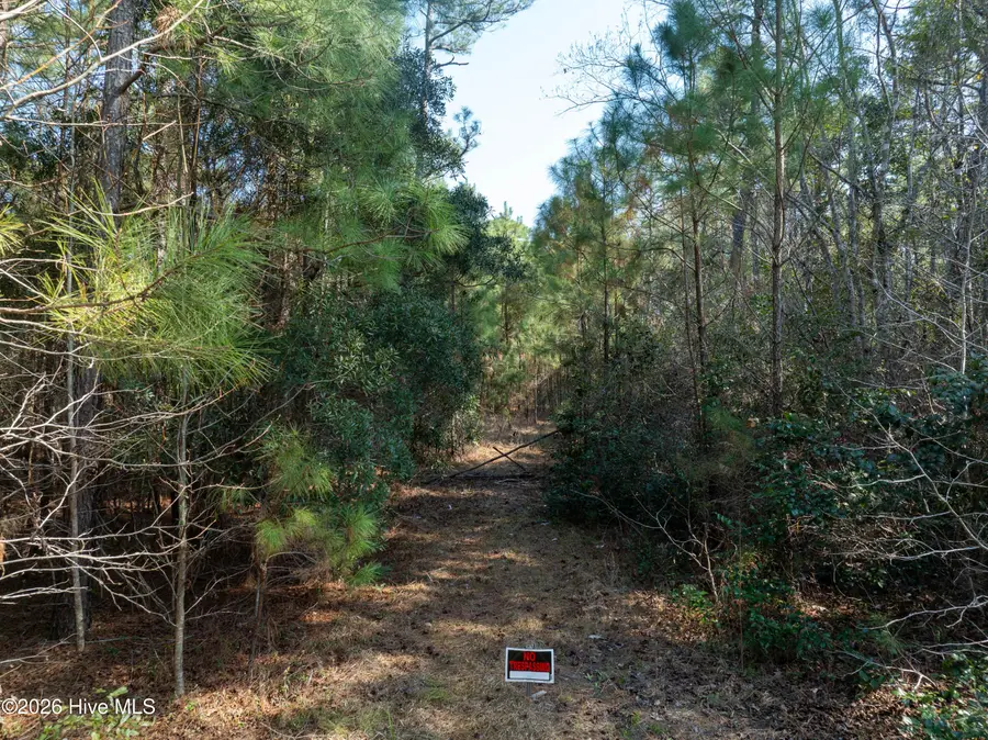 Lot 14 Brickyard Road, Hampstead, NC 28443 - #3